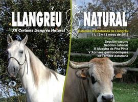 XII Certamen “Llangréu Natural” y Muestra de la Pita Pinta