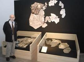 ¿Por qué nos fascinan los dinosaurios