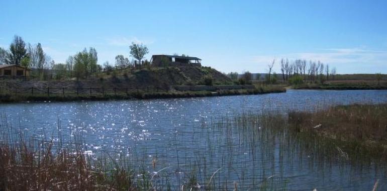 Los altos valores naturales registrados en la laguna del Cañizar aconsejan su protección