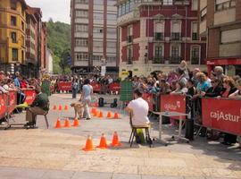 Langreo acoge una exhibición de perros guía