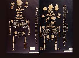 El primer caso probado de gemelas prehistóricas ibéricas 