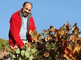 Villa Narcisa Verdejo, medalla de Oro en el concurso mundial de Canadá