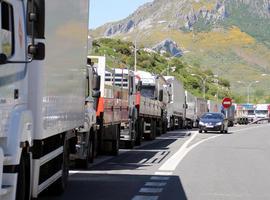 239 camiones se desplazaron hoy en 7 convoyes para garantizar el abasto