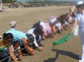 La Marina libera tortugas en Veracruz