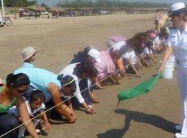 La Marina libera tortugas en Veracruz