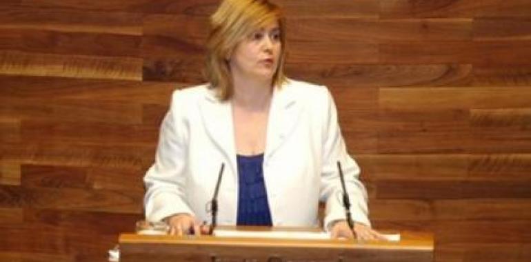 FORO acusa al PSOE de pedir un cheque en blanco para un crédito de 243 M€ con 122 de interés
