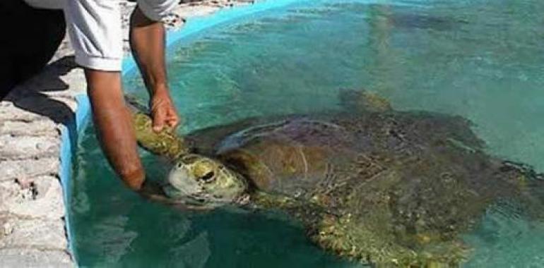 Evo Morales participa en liberación de tortugas en ríos de Pando