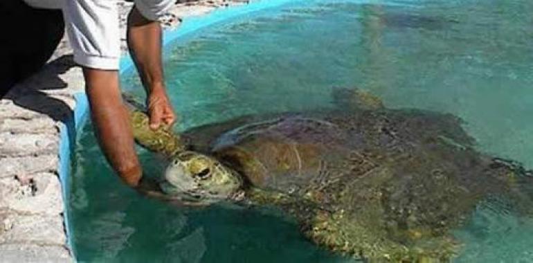 Evo Morales participa en liberación de tortugas en ríos de Pando 