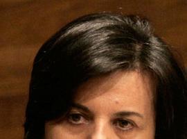 Agroganadería autoriza el pago de 5,5 M€ en ayudas que beneficiarán a 20.833 ganaderos asturianos