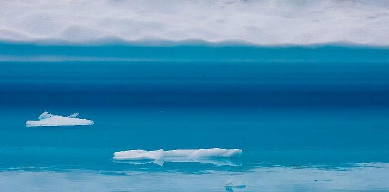  #SalvaElArtico para proteger la última frontera del planeta del petróleo y la sobrepesca