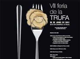 La VIII Feria de la Trufa se celebra este sábado en Soto en Cameros 