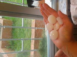 Calor africano en Oviedo y granizu como garbanzos: rayos y truenos como en los mejores tiempos