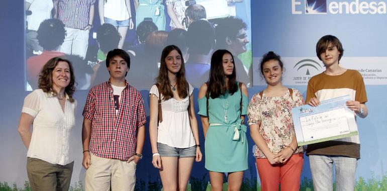 El Santo Domingo de Guzmán, de Oviedo, premio El PAÍS a la mejor sección en inglés y mejor tira cómica