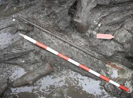 Rescatan el arco más primitivo del Neolítico