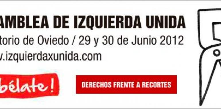 La asamblea de IU aprueba resoluciones sobre medio ambiente, minería y defensa del sector público