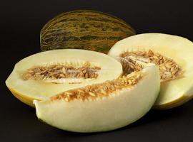 El genoma del melón, al descubierto: 27.427 genes y unos 450 millones de pares de bases