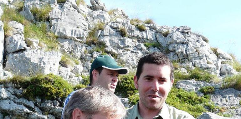 El quebrantahuesos Atilano llega al Parque Nacional de los Picos de Europa 