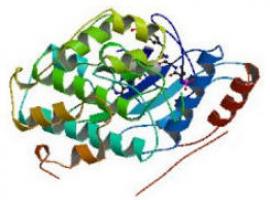 Dos proteínas permitirán una mejora en el tratamiento de la artritis reumatoide