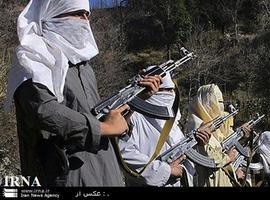 Pakistani Taliban commander shot dead in tribal region