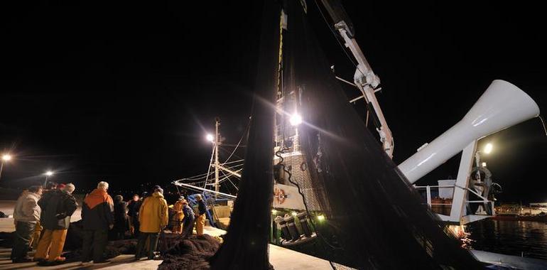 Pesca reabrirá la pesquería del chicharru para paliar las dificultades de la flota de bajura