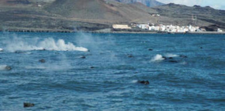 El Hierro, un futuro cambio climático a pequeña escala