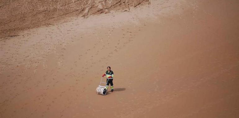 Prosigue la retirada de galipote de las rocas mientras los arenales permanecen limpios