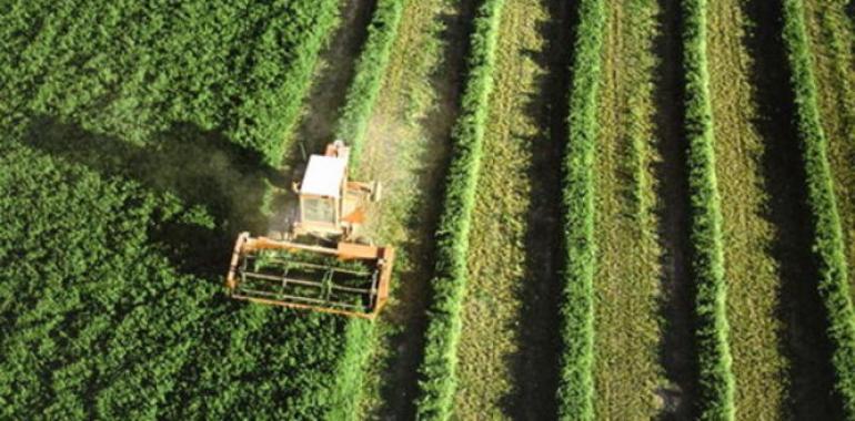 La agricultura española mejora su eficiencia energética a mayor ritmo que la europea 