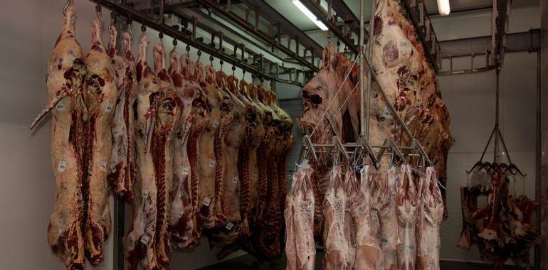 Se reducirán la sal y la grasa  en los productos de carnicería-charcutería 