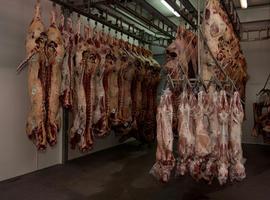 Se reducirán la sal y la grasa  en los productos de carnicería-charcutería 