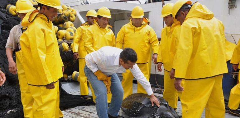 Perú impulsa el consumo de pescado para combatir la desnutrición infantil 