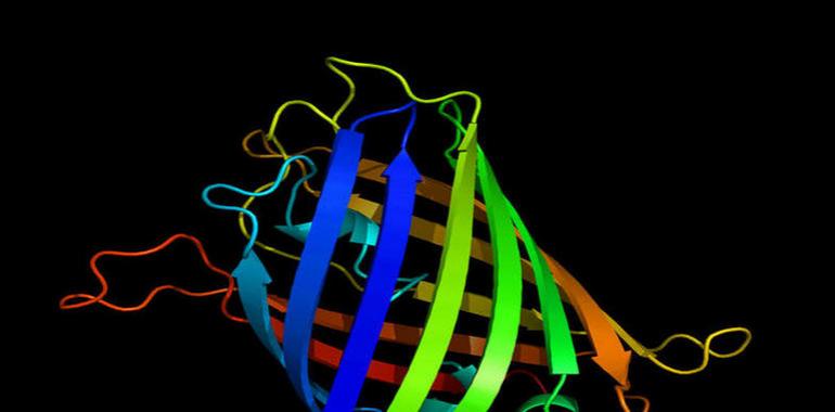 ‘Radiografía’ del desarrollo del tejido que sufre el 90% de los tipos de cáncer