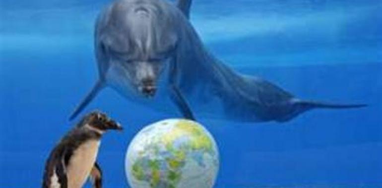 Se confirma la existencia de ondas ópticas gigantes