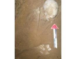 Descubierto un esqueleto de 7.500 años de edad en la provincia de Markazi 
