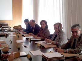 Las obras de urbanización de la primera fase de la ZALIA concluirán este año