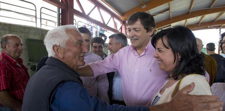 El Principado defenderá que la PAC tenga en cuenta al sector ganadero asturiano