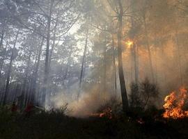 El Ministerio aportó con inmediatez aviones de gran carga para el incendio declarado en la Palma 