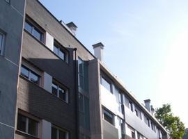 Adjudicación en régimen de arrendamiento de 31 viviendas en Blimea