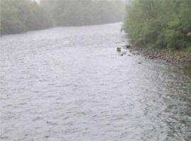 Sale a información pública el coto de pesca de Taboada en el río Moreda, afluente del Miño