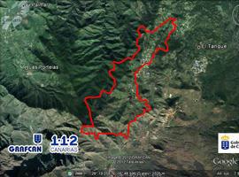 Las altas temperaturas y la baja humedad condicionan las tareas de extinción en Tenerife y La Gomera