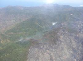 Canarias pide la colaboración ciudadana en la investigación del origen de los incendios