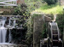 Noche de agosto y música en el Jardín Botánico