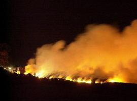 España pide ayuda al fondo de solidaridad de la UE a causa del incendio de La Gomera