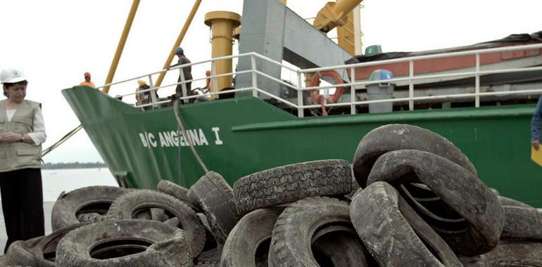 Galápagos libre de neumáticos usados