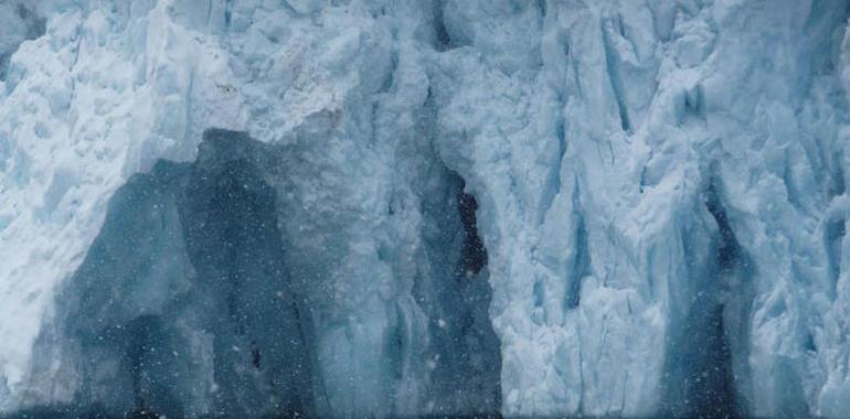 Las glaciaciones podrían influir más en la biodiversidad que el clima actual 