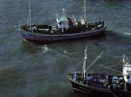 Nuevas ayudas a tripulantes afectados por la suspensión del Acuerdo de pesca UE - Marruecos 