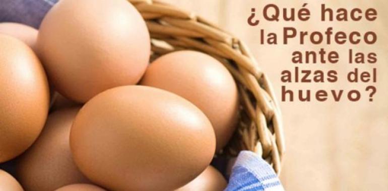 El encarecimiento de los huevos obliga al Gobierno de México a intervenir para bajar los precios