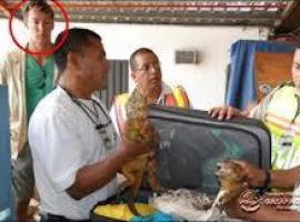 Comienza el proceso al alemán que intentó robar iguanas en Galápagos 