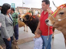 La consejera de Agroganadería exige al Estado que se pague un precio justo por la leche