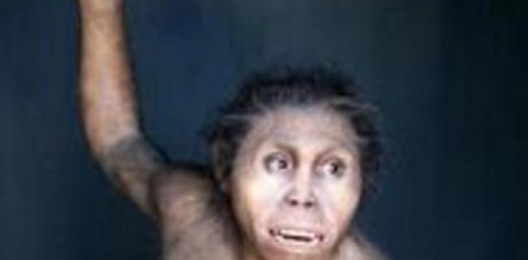 Descubren en Georgia las evidencias más antiguas de la presencia de Homo erectus