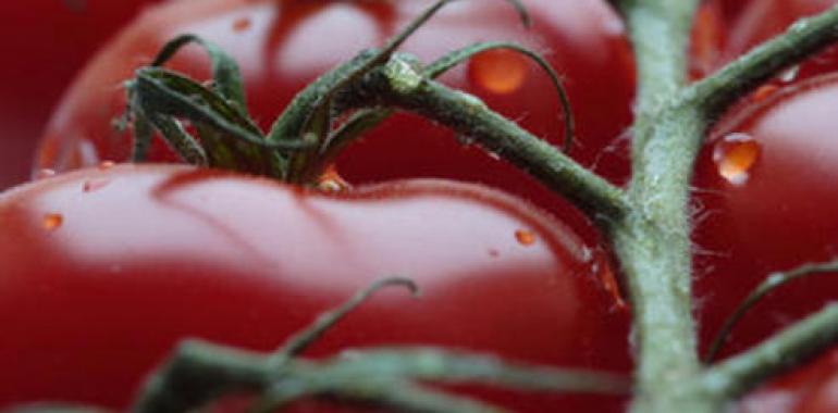 Los alimentos orgánicos no son más saludables que los convencionales